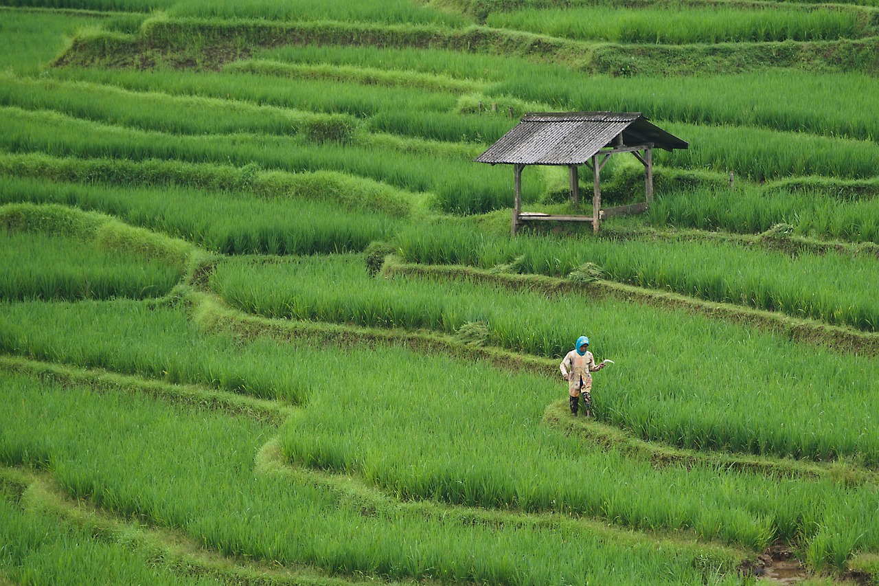 Aerial view of sustainable farms and agricultural landscape